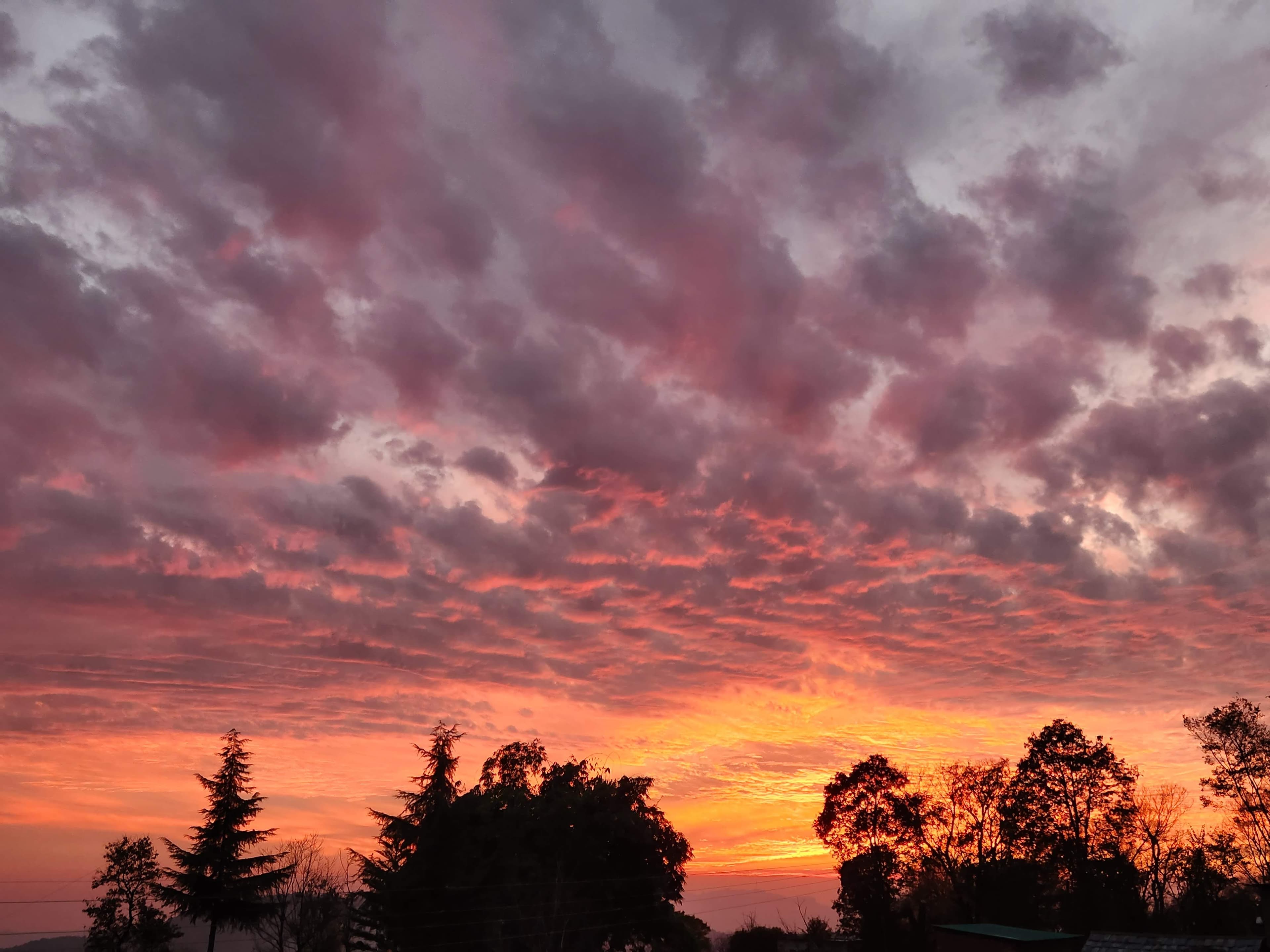 Pink Sky Dusk