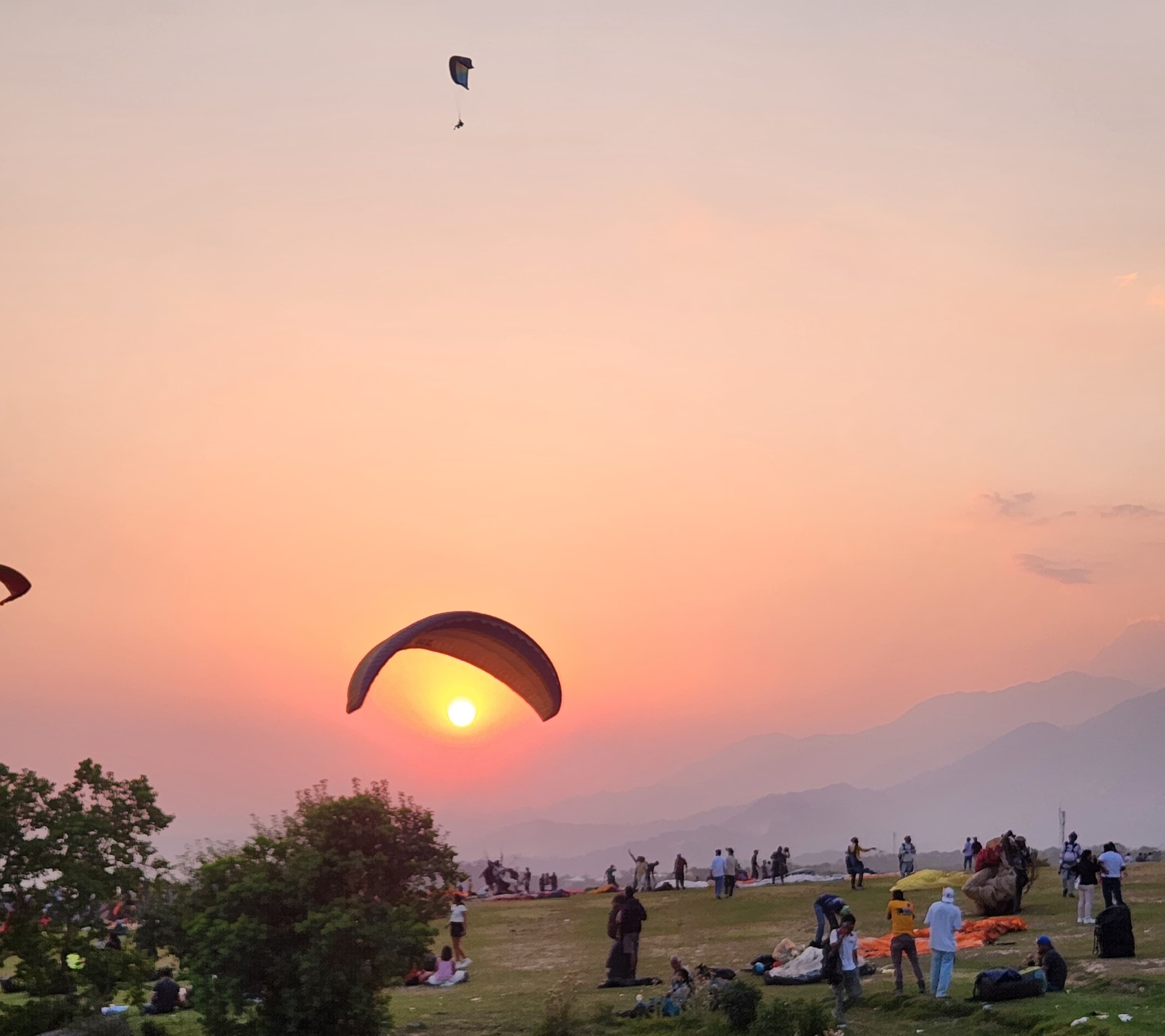 The Ultimate Guide to Paragliding in Bir Billing (2026 Edition)